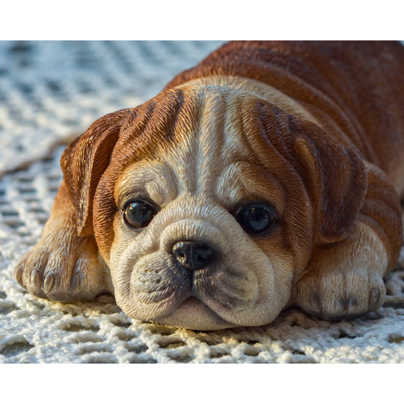Aimant de bouledogue