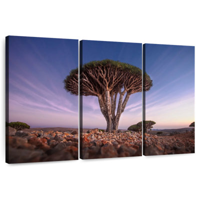 Harnek Dragon, arbres de sang