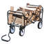 Chariot de plage pliable-112834175