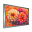 Coucher de soleil aux couleurs vives, Dahlia vision II - Dahlia, art mural-338235293-444817176-444817189