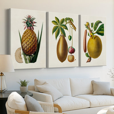 Fruit of the Tropics VI - Toile tendue avec châssis sur mesure - 3 pièces