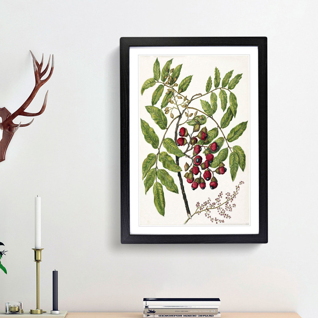 Titoki Flowers by Sarah Featon - Picture Frame Painting Print
