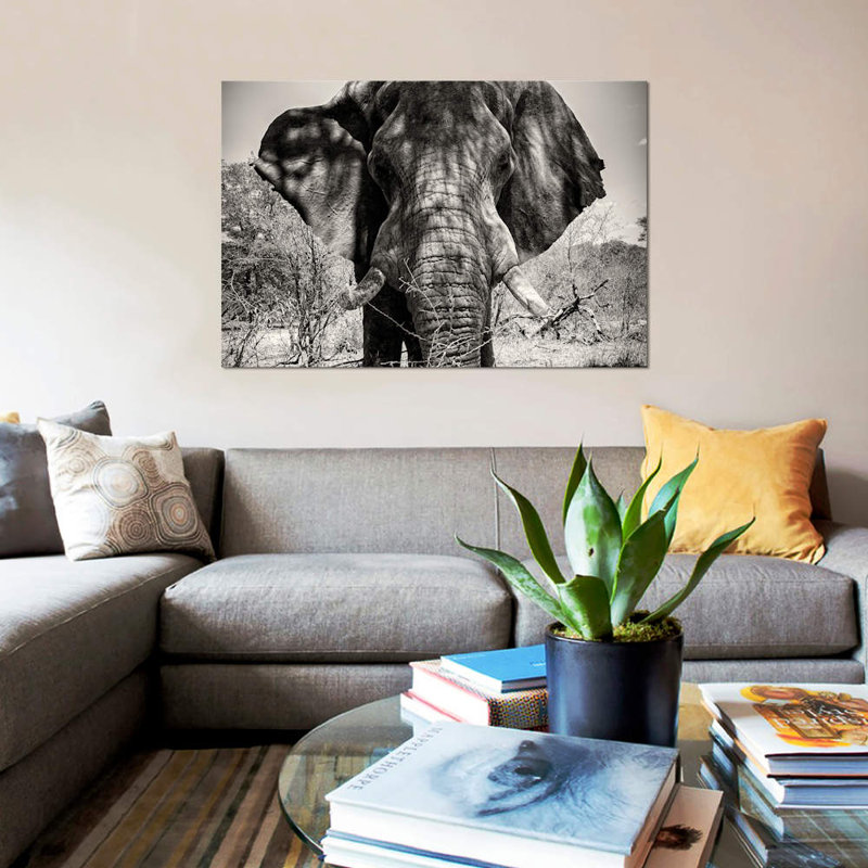 Elephant Portrait by Philippe Hugonnard - Wrapped Canvas Print, 101.6 cm H x 66.04 cm W x 1.91 cm D