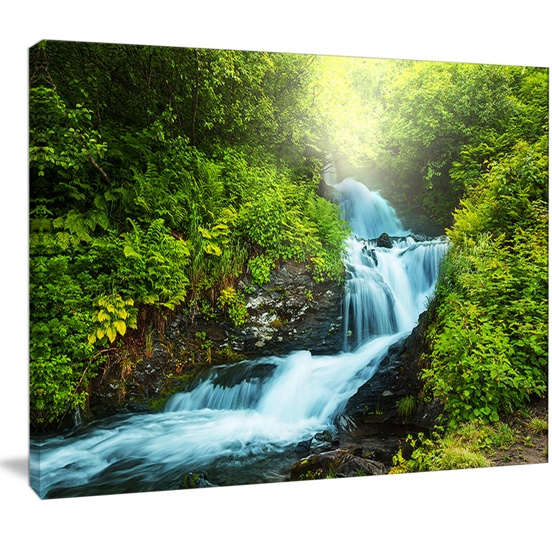 Green Rain Forest Landscape Canvas Art with Blue Creek