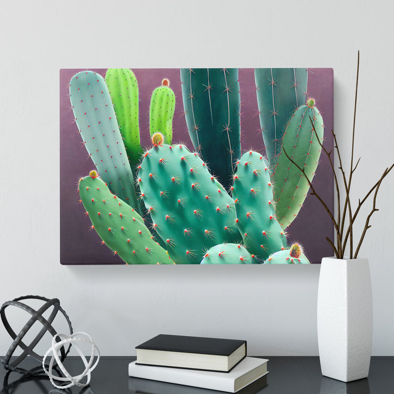 Wonderful Cactus - Wrapped Canvas Print, 35cm H x 50cm W x 3cm D