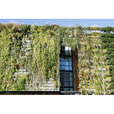 " Green Wall " by Agafapaperiapunta