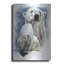 «Ivory» par Barbara Keith-869627534