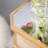 Mirrored Glass Top End Table with Storage