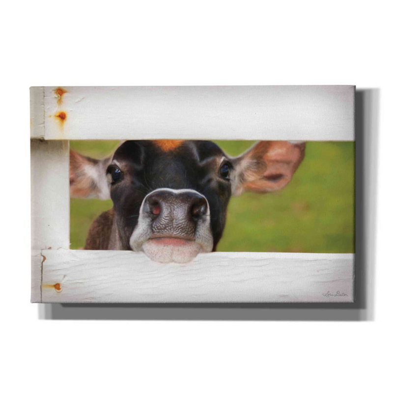 " Cow At Fence " by Lori Deiter, 12" H x 18" W x 0.75" D