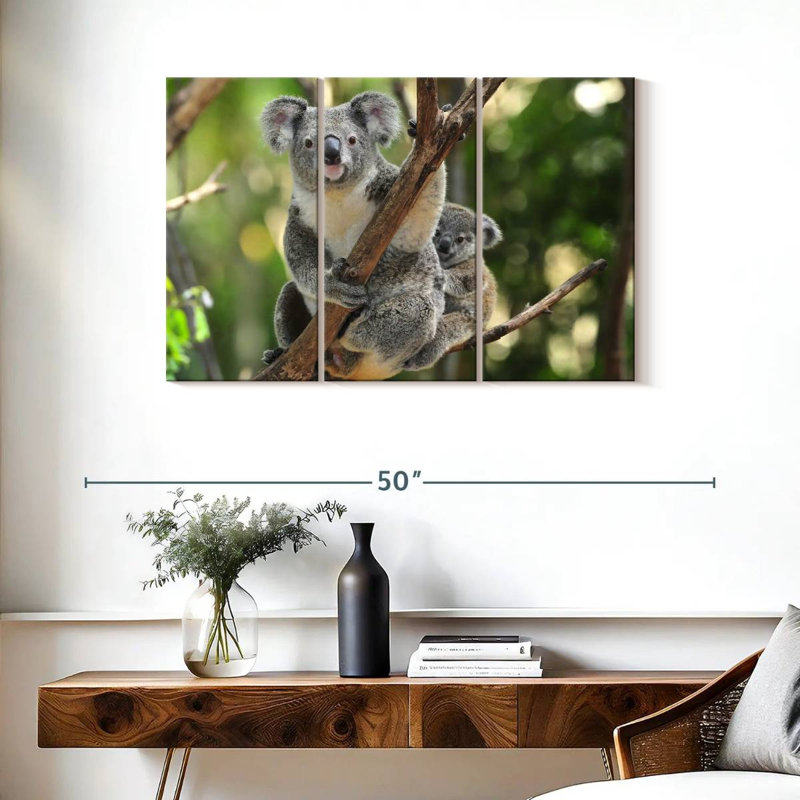 Brampt Australian Koala Bears, 24" H x 38" W
