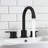 Topcraft Stainless Steel Two Handle Bathroom Faucet With Pop-Up Drainer