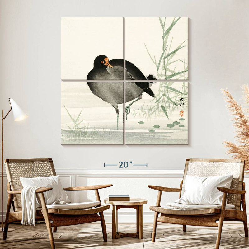 Brampt Moorhen