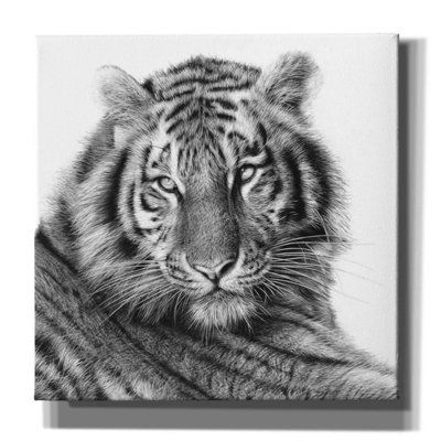 " Sameer " by Sam Dolman