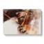 Horse In Abstract - Wrapped Canvas-55310893