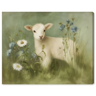 «Cornflower Lamb II», reproduction d'art sur toile par Art Remedy, 36 x 30
