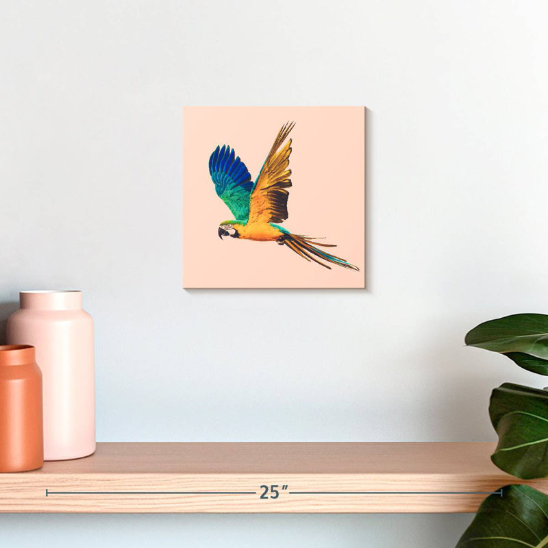 Brampt Macaw Parrot Flying, 10" H x 10" W
