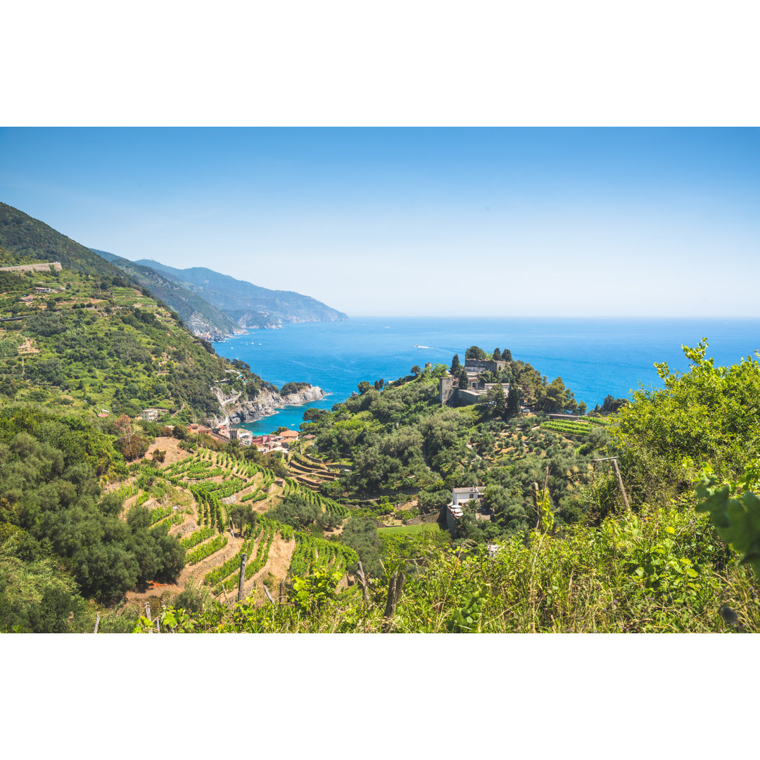 Vernazza To Monterosso Summer von Primeimages - Leinwandbilder Kunstdrucke