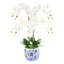 Phalaenopsis Floral Arrangement