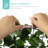 Green Plastic Fencing-842444625