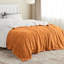 Couverture polaire sherpa douce et moelleuse BedBedsure GentleSoft pour lit simple, épaisse et confortable pour l'hiver et l'automne, idéale pour le canapé et le lit.-110438702-105504650