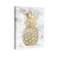 Food and Cuisine Pineapple Fruit Gold Fruits - Impression sur toile tendue-206183869
