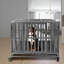 Caisse pour animaux robuste-444846782