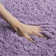 Collin Sgl-Laguna Shag Performance Solid Color Rug