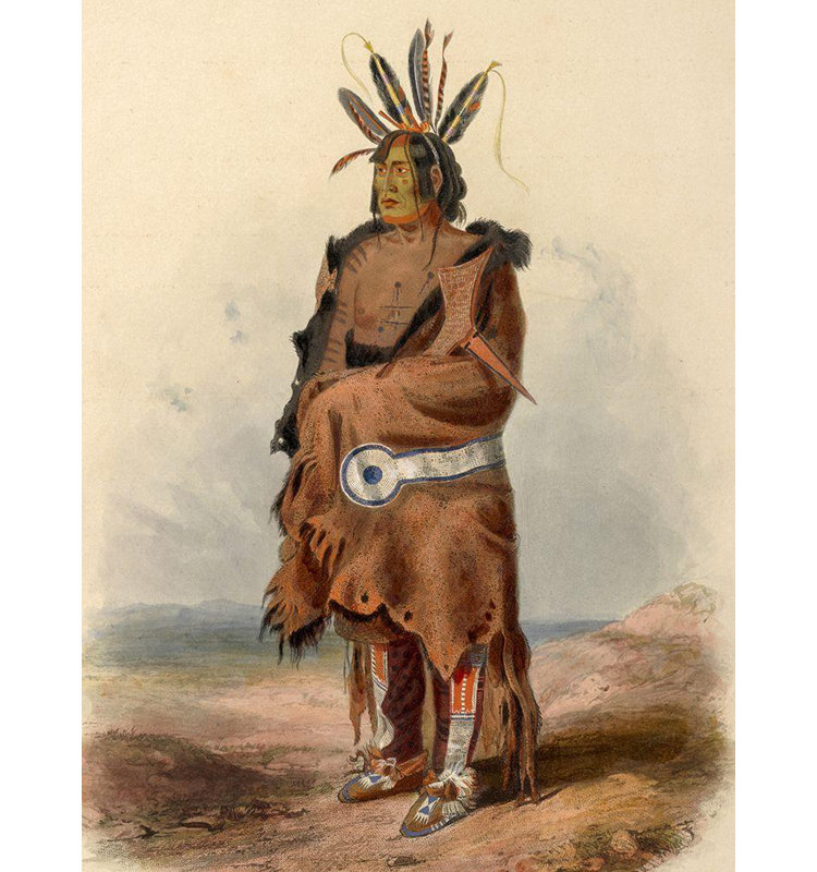 «Union Rustic Bodmer, Karl», reproduction d'art sur toile tendue: An Arrikara Indian Warrior, H 47 po x l 36 po