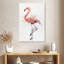 Flamant rose Brampt-108484651