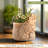 Flurin Cats in Love Pot Planter