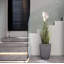 62'' Faux Reed Plant in Fiberstone Planter