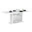 Stanley Extendable Dining Table-546183033