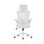 Aalaysia Mesh Office Chair with Headrest-363516336