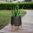 Patt XL (Feet Low), Black Washed-253913209-233816329