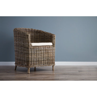 Paignt Wicker Barrel Chair