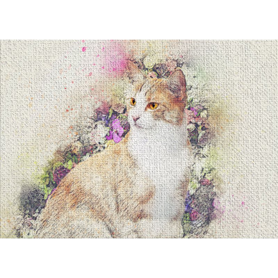 Indoor Rug