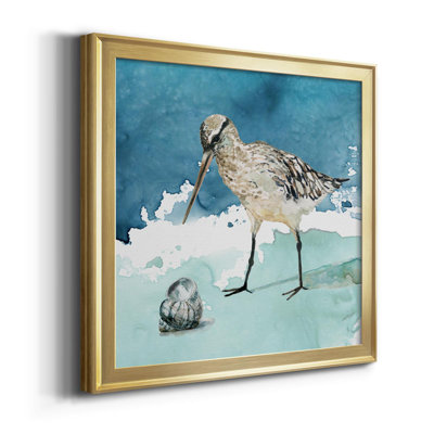 " Delray Sandpiper II "