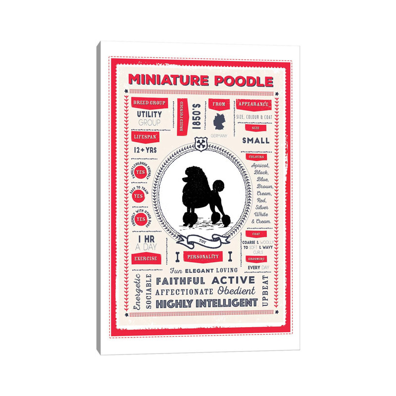«Miniature Poodle Infographie Red» par PaperPaintPixels, impression sur toile tendue, H 60 po x l 40po x P 1,5 po