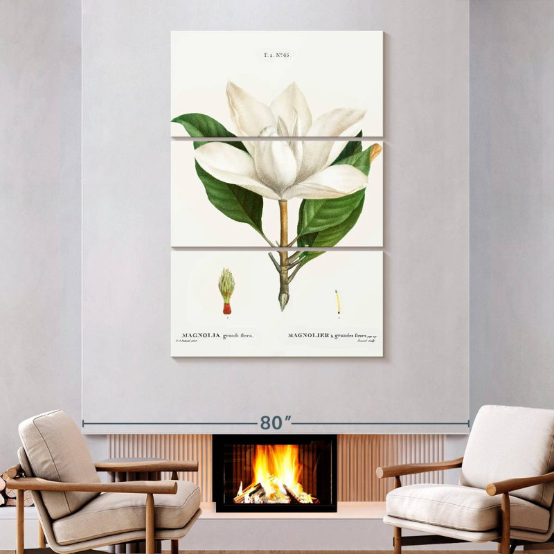 Harnek Magnolia du Sud, H 74 po x l 48 po