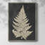 Linen Fern I, reproduction encadrée - bois massif-890437358