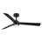Hinkley Speck Ceiling Fan-108493346-108493349