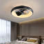 Ceiling Fan with LED Lights