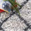 Tapis ivoire à motif géométrique Bibb-269908136