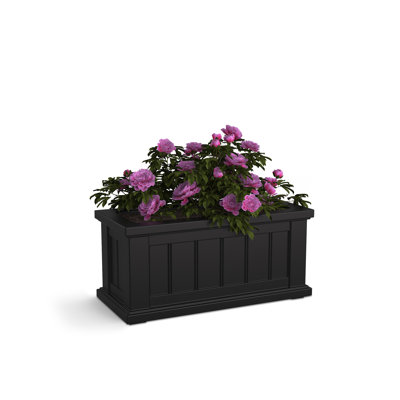 Bac à fleurs en résine avec réservoir d'eau Selevae