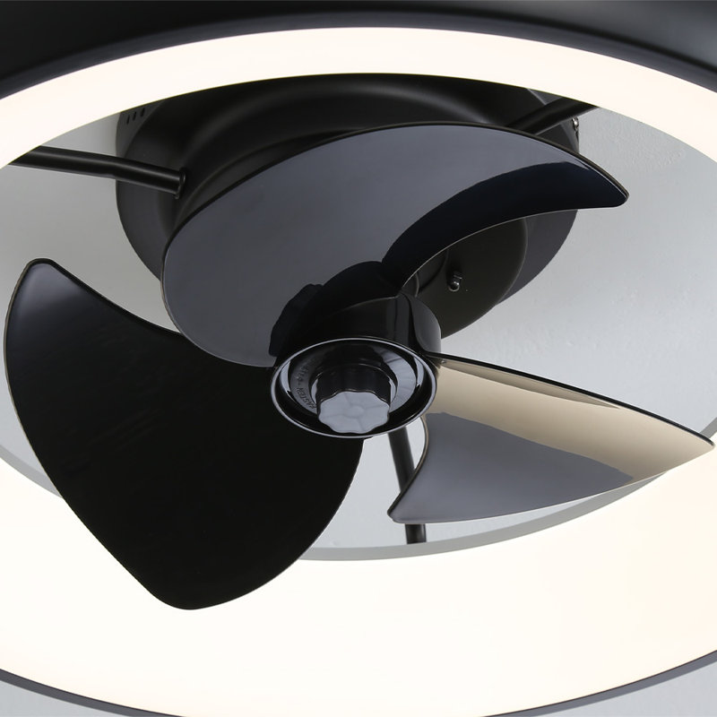 Calirae Ceiling Fan with LED Lights, Black