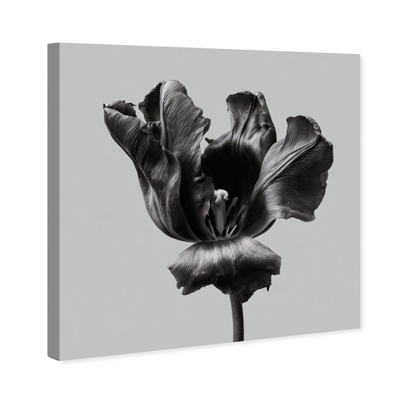 Tidal Wilt II Print by Oliver Gal, 12"H x 12"W, Gallery Wrapped