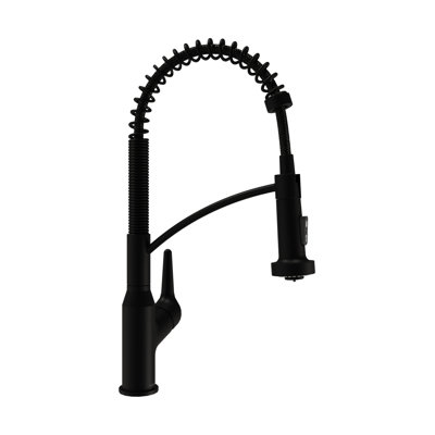Karran Scottsdale Single-Handle Pull-Down Sprayer Kitchen Faucet