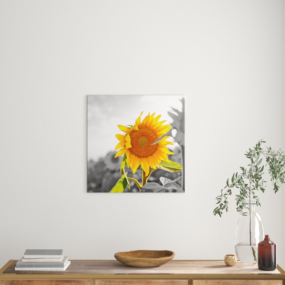 Leinwandbild Nahaufnahme einer Sonnenblume