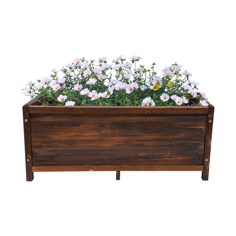 Support pour plante Quinlynn