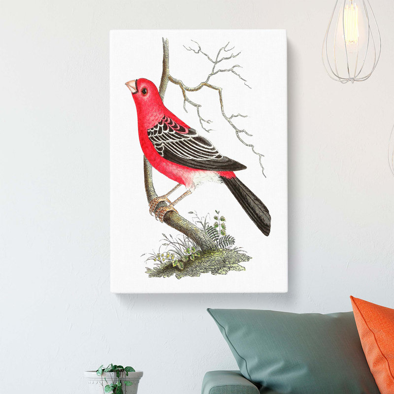 Greater Bulfinch Bird by George Shaw - Wrapped Canvas, 50cm H x 35cm W x 3cm D